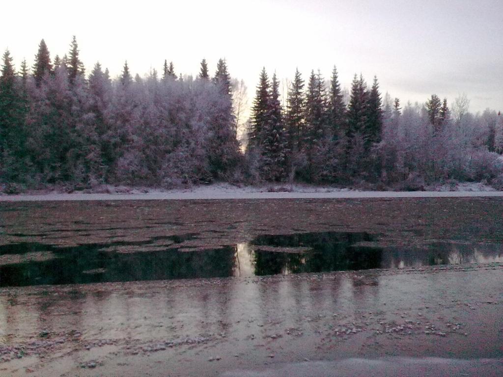 Lapland Northern Lights Hotel Ilveslinna Ranua Cameră foto